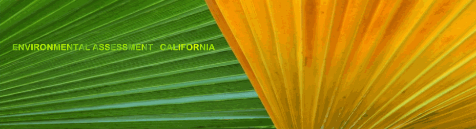 Environmental Assessment California